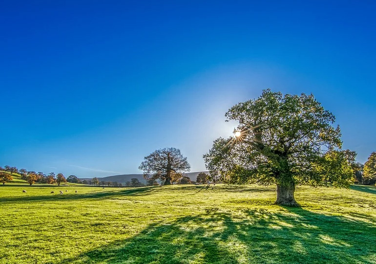 衝動的に生きる大事さとは？