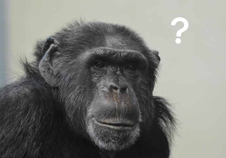 部活は評価されるのか