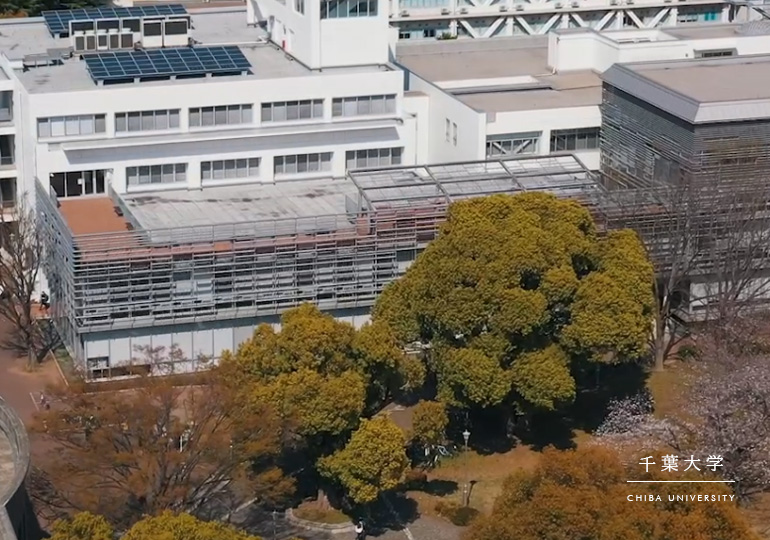 関東第一高校の合格実績