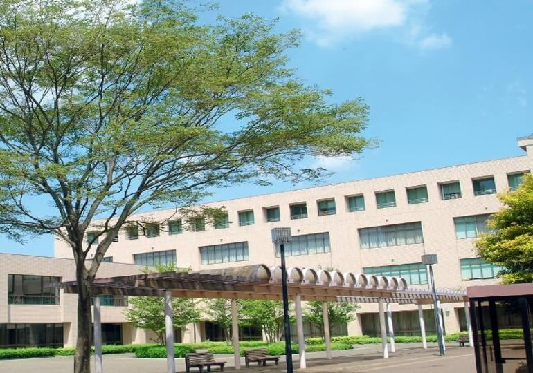 日本国際学園大学