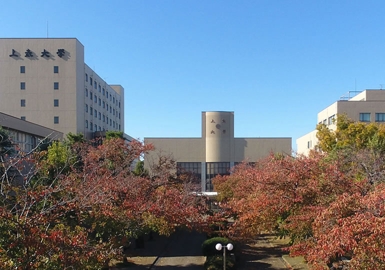 上武大学