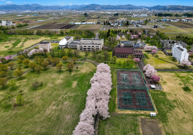 国際大学
