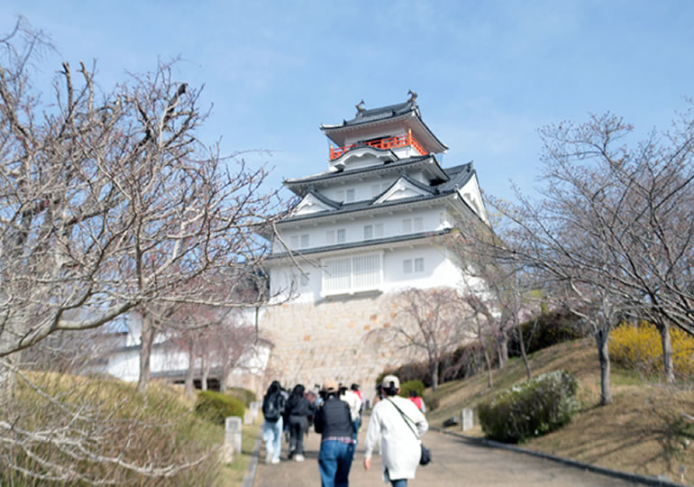 大阪青山大学