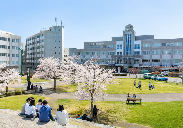 東北文化学園大学
