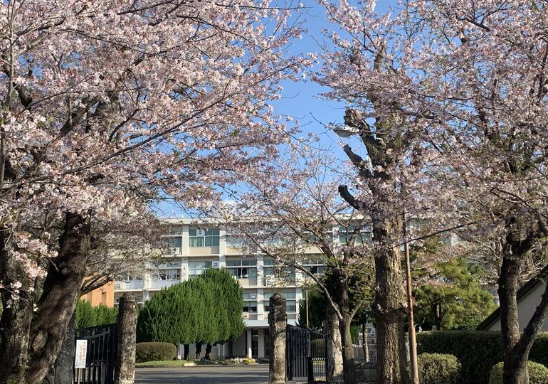 熊本高等学校